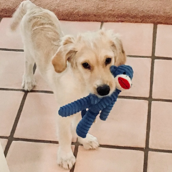 Meet your Posher, Jill - Picture 8 of 16